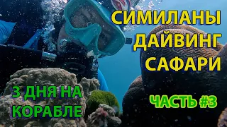 Дайвинг сафари на Симиланах, 3ий день