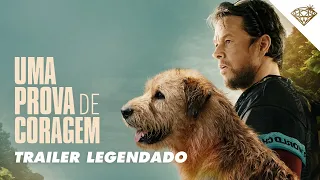 UMA PROVA DE CORAGEM | Trailer Oficial Legendado