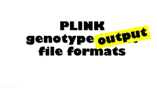 PLINK genotype OUTPUT files: A complete list
