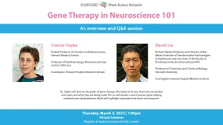 Gene Therapy in Neuroscience 101