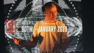 Best Of January 2019 mixed by DJ The Prophet