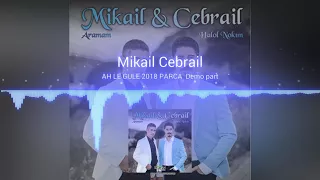 MİKAİL CEBRAİL 2018 DEMO PARCA ♪♪ COK YAKİNDA