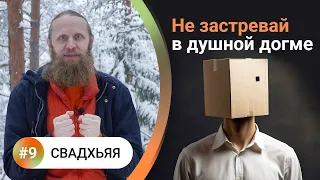 Как жить в балансе? — 9. СВАДХЬЯЯ Как стать интересным человеком? Столетия эволюции за несколько лет