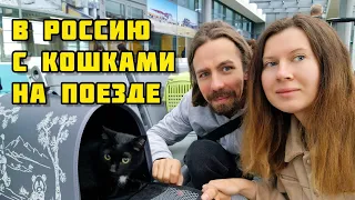 1. Переезд в Россию / На поезде с кошками / Астана - Екатеринбург 🚂