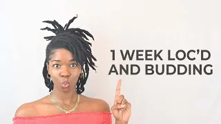 How To Loc FASTER! My STARTER LOCS Are BUDDING!  | Loc Journey 1 Week Update
