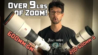 Sony 600mm GM and 200-600mm G Hands On!
