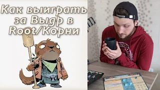 Root: как выиграть за Речное братство 🦦