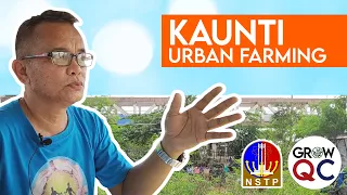 Ang Kaunti farm community along Commonwealth Ave.  - GrowQC Movement