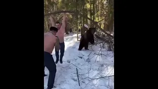 Свирепый медведь готовит русскую армию к вторжение на Украину.