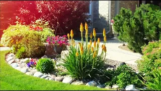 Творческие идеи для украшения загородного участка / Examples of creative garden design