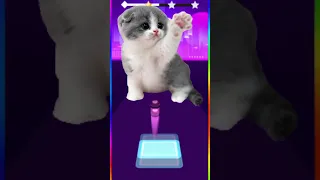 CUTE CATS - DESPACIDO TILES HOP EDM RUSH