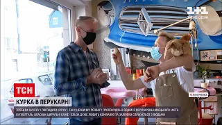 Новини світу: у німецькій перукарні курка розважає клієнтів, коли їм роблять зачіски