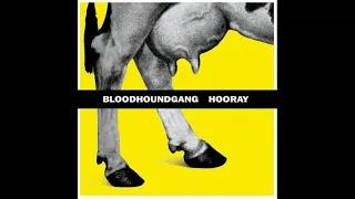 Bloodhound Gang - The Ballad Of Chasey Lain (Clean)