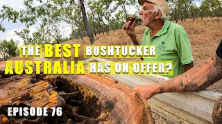 Aboriginals BUSH TUCKER for thousands of years & other creatures of the Australian bush