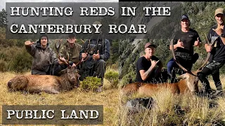 Hunting Reds in the Canterbury Roar - Public Land