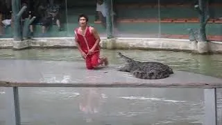 MANS ESCAPES NEAR DEATH PLACING HIS HEAD IN CROCODILE MOUTH