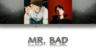 {vostfr} PH-1 et Woo- “MR. BAD'' (color coded Han/Eng/Fr)