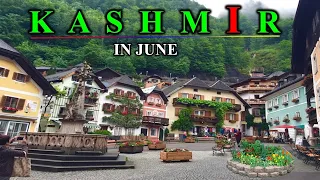 Kashmir Tour Complete Guide | All Information About Kashmir Trip | Kashmir trip in june month