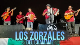 LOS ZORZALES DEL CHAMAME - FESTIVIDAD DE SAN JORGE 2024 (Flia. Sagania, Pampa del Infierno)