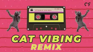 Cat Vibing to Levan Polkka | DJ Cruz R | Remix