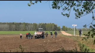 Административно арестованные задействованы на уборке камней в сельхозпредприятиях Лидского района
