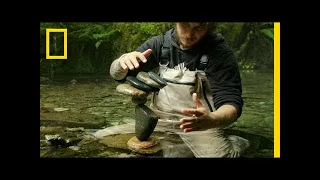 Watch This Guy Balance Rocks on Water in the Most Mesmerizing Way | Short Film Showcase