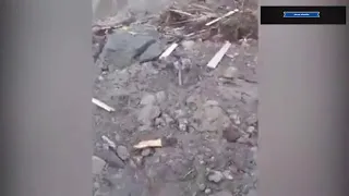 Moment dog is rescued from shock landslide in Alta, Norway