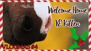 🎄VLOGMAS #4🎄 Tego się po nim nie spodziewałam...