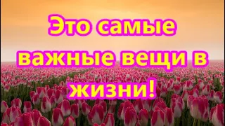 Это самые важные вещи в жизни!