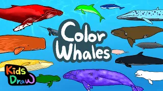 Color Whales | Let's learn different colors with Whales | Kids Draw