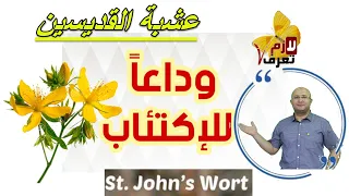 St john's wort|عشبة القديس يوحنا | عشبة القديسين | الفوائد والمحاذير والجرعات | ازاي تختار صح