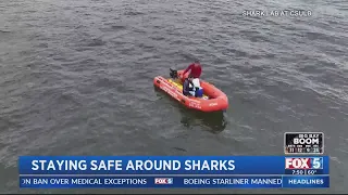 Staying safe around sharks