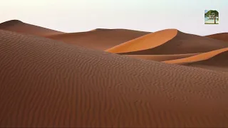 Реальные Звуки Природы. Шум Ветра в пустыне. Красивый фон пустынных дюн для сна, медитации и отдыха