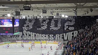 3.11.23 EHC Kloten 4:2 ZSC Lions