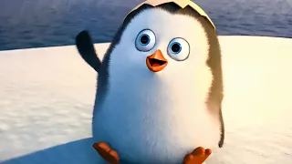 بطريق صغير بيجازف بحياته وبيدافع عن أصدقائه علشان ينقذ العالم | ملخص فيلم Penguins Of Madagascar