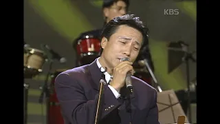 하남석(Ha Namseok) - 낙엽따라 가버린 사랑 [꿈의 콘서트] | KBS 19931116 방송