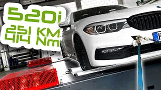 Tylko program. BMW 520i G30 z wynikiem z 530i