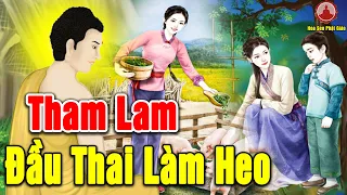 Nhân Quả Ghê Rợn, Luân Hồi Đầu Thai Thành Heo Trả Nợ Cho Chị Dâu Vì Tội Tham Lam