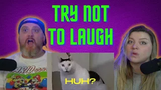 UNUSUAL MEMES COMPILATION V261| HatGuy & @gnarlynikki Try Not To Laugh