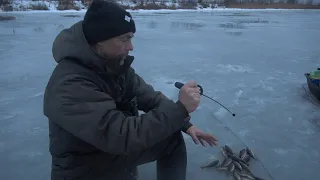 Попал на лифт из окуней!Даже про жерлицы забыл!