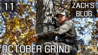 The October Grind, Staying Persistent During The “October Lull” #hunting #deerhunting