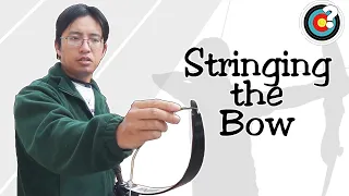 Archery | How to String a Bow