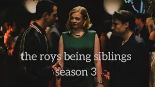 the roys being siblings season 3 [Succession]