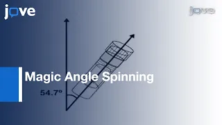 Magnetic Resonance Spectroscopy Drosophila Using Magic Angle Spinning l Protocol Preview