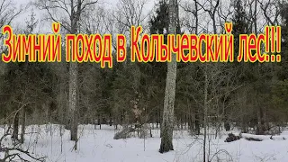 Зимний поход в Колычёвский лес .