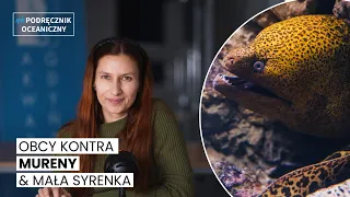 Obcy kontra murena i mała syrenka || Niepodręcznik Oceaniczny odc.177