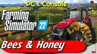 Beekeeping and  Farming Honey // Farming Simulator 22