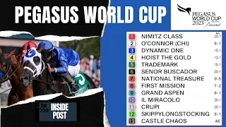 Pegasus World Cup Race Predictions and Best Bets