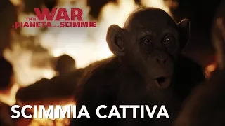 The War - Il Pianeta Delle Scimmie | Clip Bad Ape HD | 20th Century Fox 2017