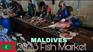 Fish Market Male Maldives Tuna 2023 Maldives Maldives ilsands Maldives vlog Maldives trip 4K